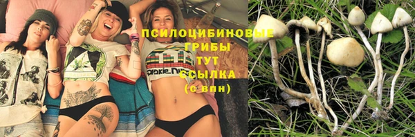 кокс Аркадак
