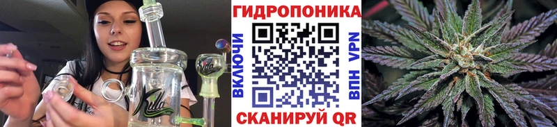 где купить наркотик omg ONION Шишки марихуана конопля Сусуман